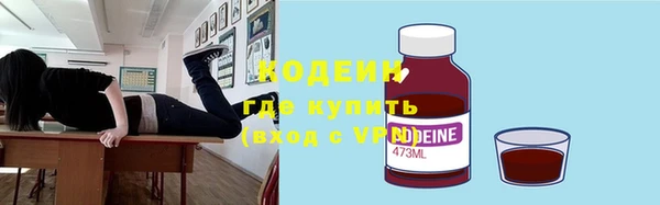 прущие крисы Новозыбков