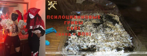 прущие крисы Новозыбков