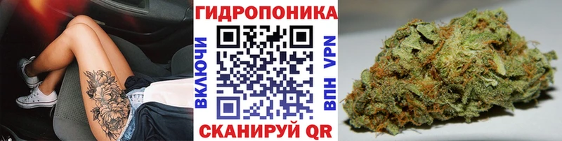 Каннабис семена  Сим 